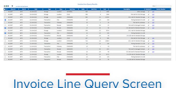 invoice-line-query-screen