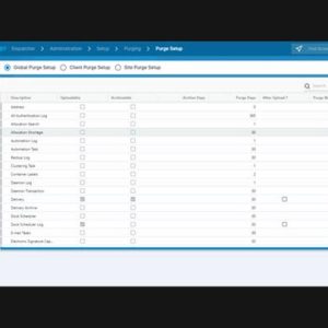 blue-yonder-wms-new-ui-purging