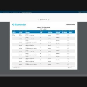 blue-yonder-wms-new-ui-report-output
