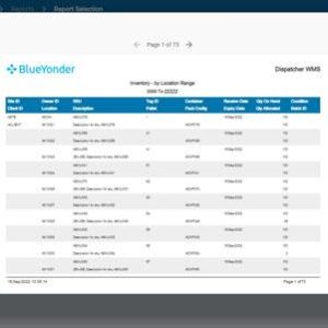 blue-yonder-wms-new-ui-report-output