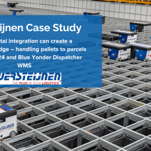 Versteijnen Case Study