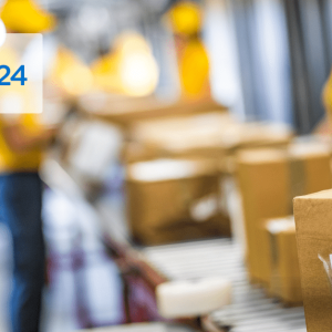 fast moving distribution centre FMDC