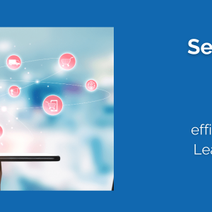 Conquering E-Commerce with an Advanced WMS - Part 4 - Seamless Omni-Channel Fulfillment