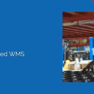 Conquering E-Commerce with an Advanced WMS - Part 4 - Intelligent Inventory Utilisation