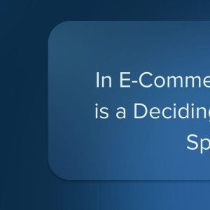 e-Commerce with an Advanced WMS - pt 1 - The Need for Speed