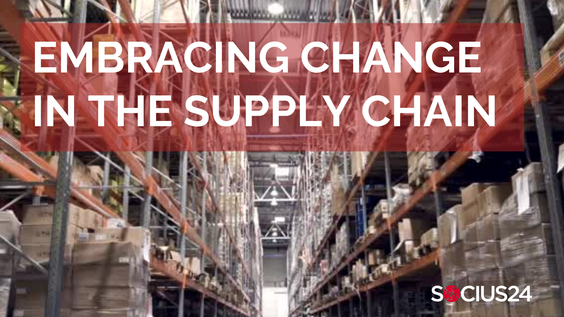 How to Improve Warehouse Resilience