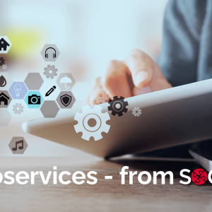 microservices from Socius24
